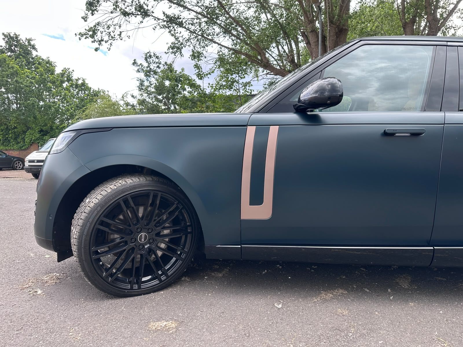 Matte vehicle styling details
